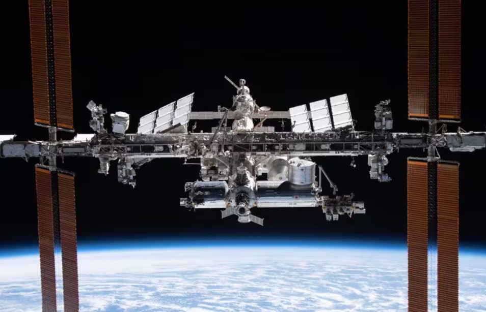 La aparición de Enterobacter bugandensis en la Estación Espacial genera preocupación