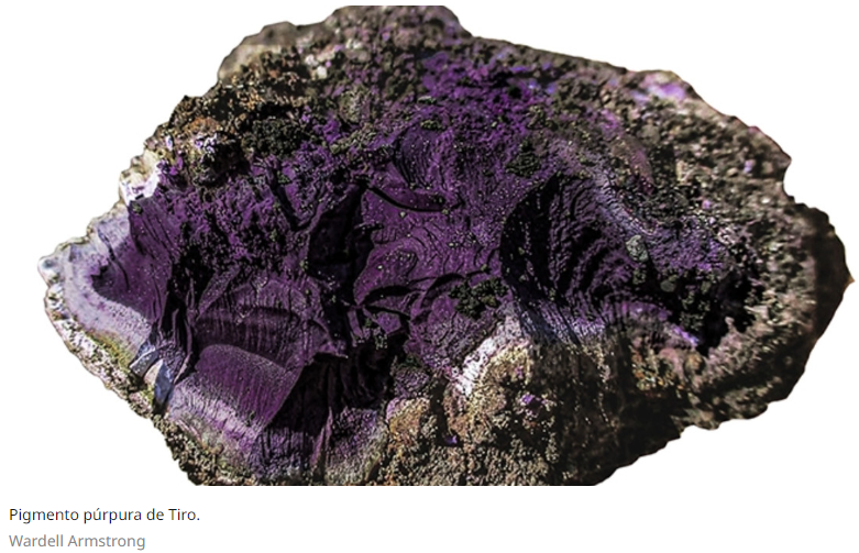 La “Púrpura de Tiro” era tan difícil de elaborar que era más cara que el oro.