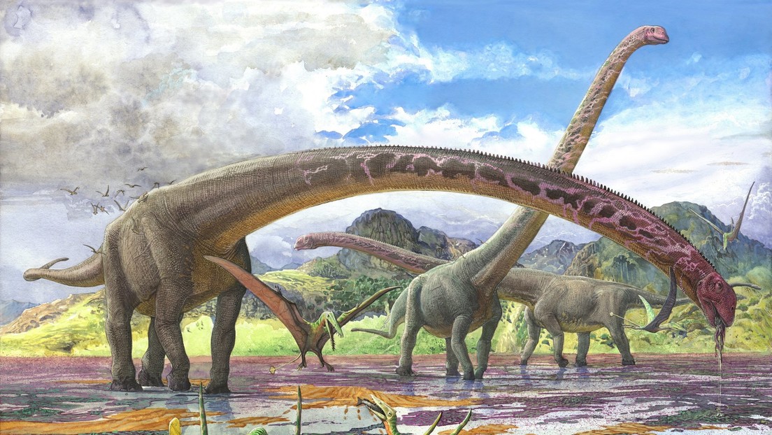 Representación del Mamenchisaurus sinocanadorum.