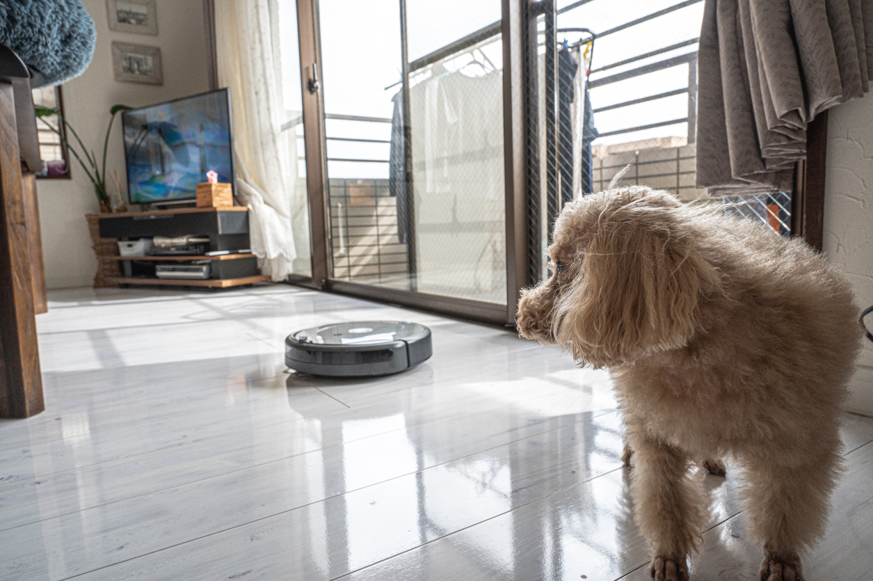 En otro incidente, un robot aspiradora atacó a un perro.