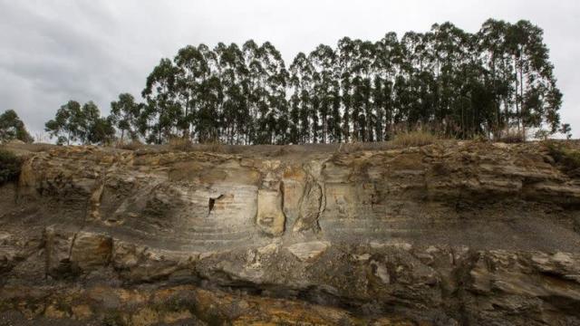 bosque fosilizado