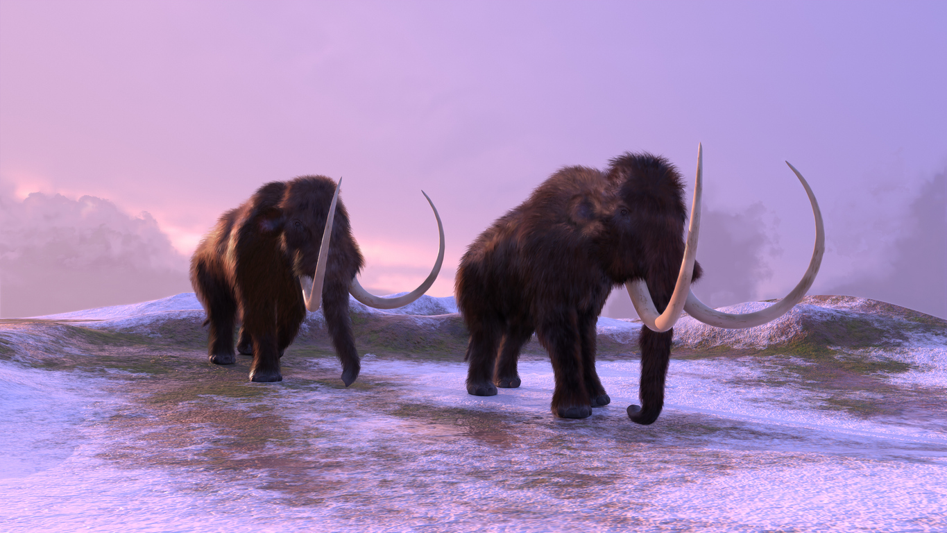 Los últimos mamuts lanudos sobrevivientes en la Tierra eran endogámicos