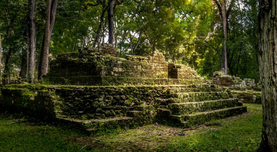 Descubren una gigantesca ciudad maya bajo la selva