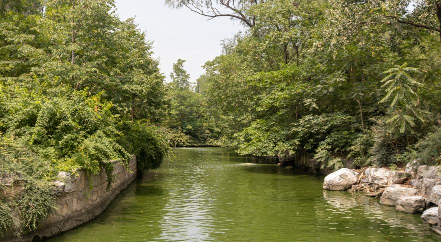 Descubren en Belice canales de pesca milenarios anteriores a los mayas