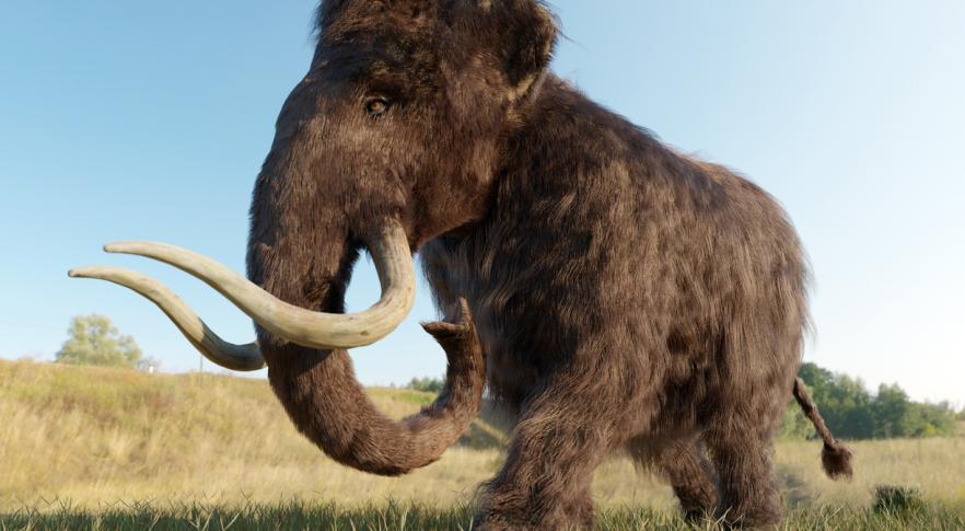 Encuentran en Siberia un bebé mamut de 50 mil años perfectamente conservado