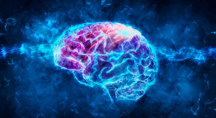 Descubren cómo se lava el cerebro mientras el organismo duerme-0