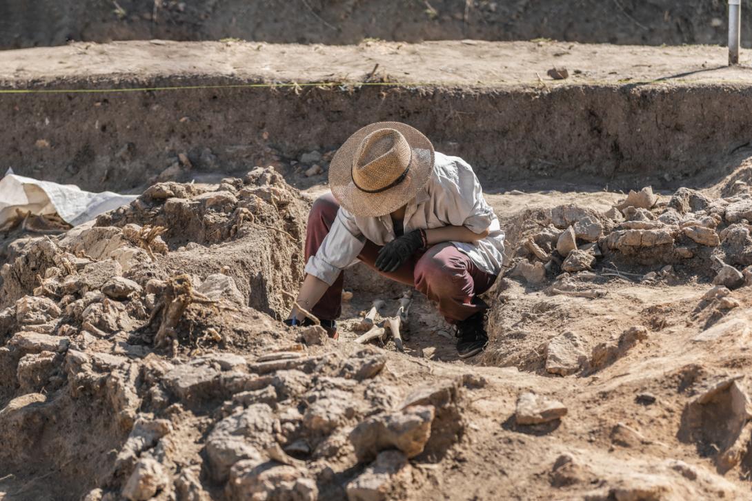 Desentierran una “rareza” romana de 2 mil años de antigüedad-0