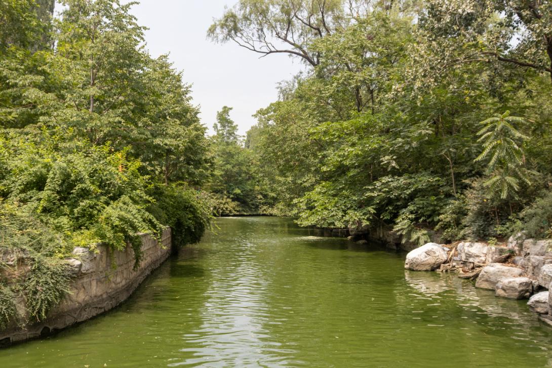 Descubren en Belice canales de pesca milenarios anteriores a los mayas-0