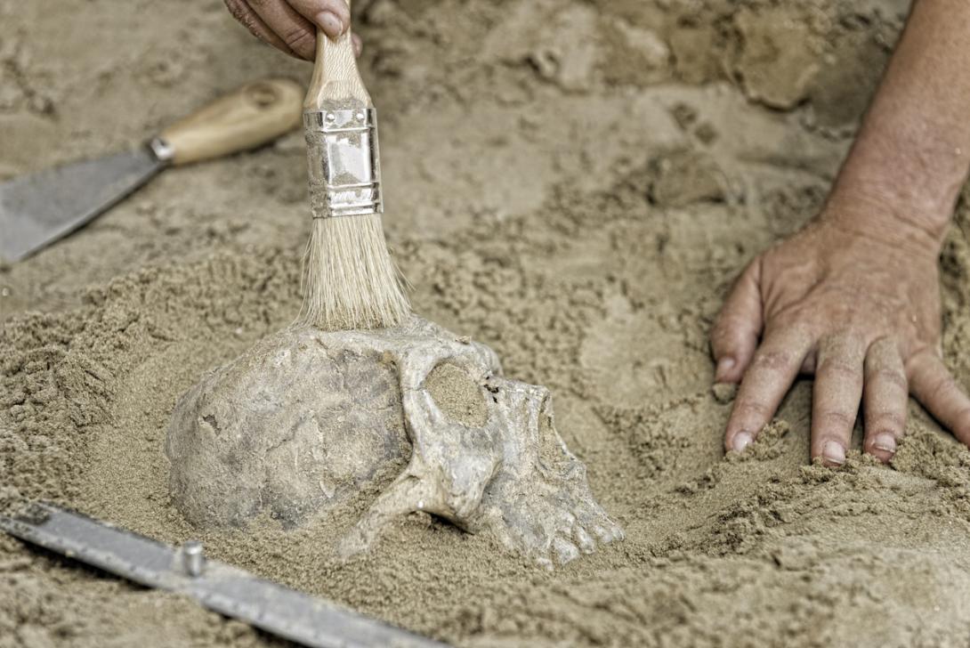 Macabro hallazgo: una fosa común de la Edad de Bronce revela que las víctimas fueron canibalizadas-0